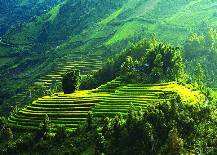 ngay gan ha noi, nhung dia diem du lich nao dep nhat dip 8/3 hinh 3