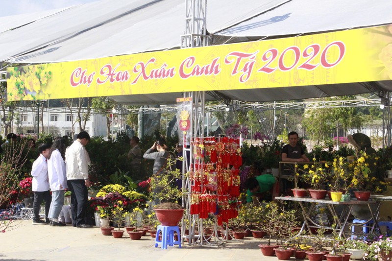 son la: ruc ro hoi cho hoa xuan canh ty 2020 hinh 1