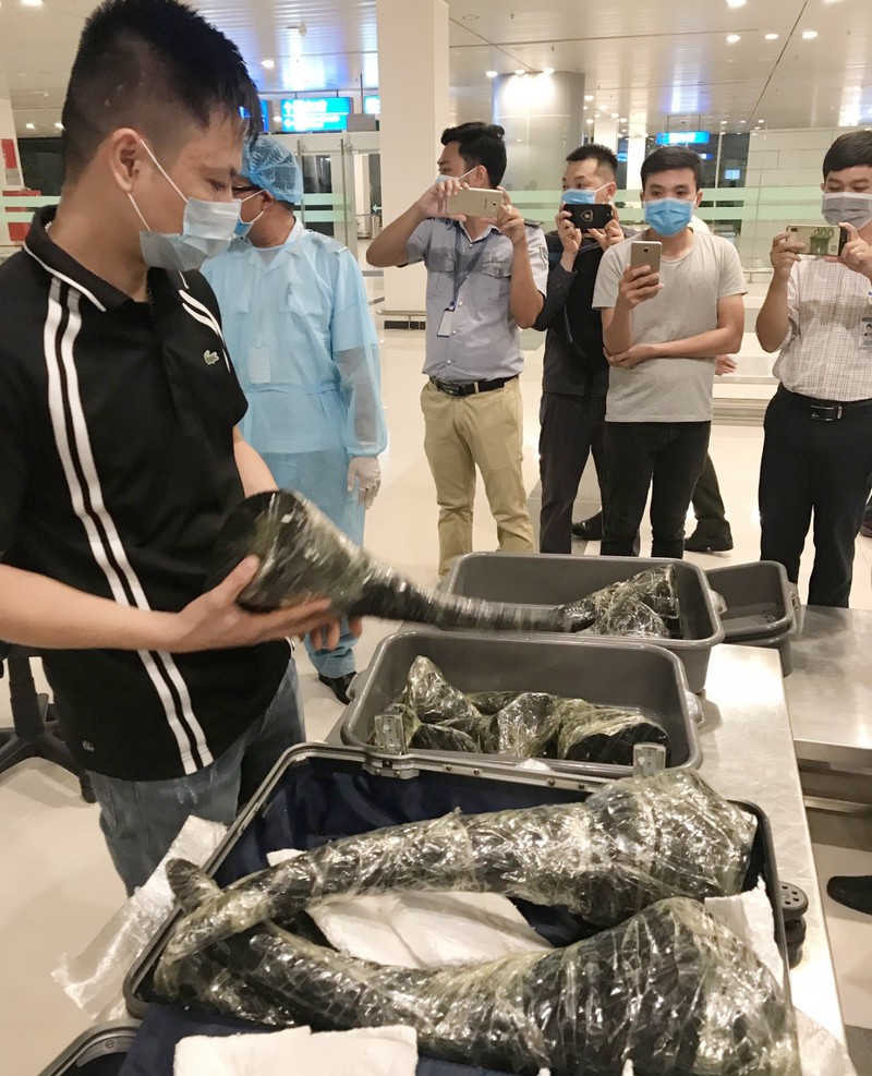 tam giu hon 28 kg nghi sung te giac tu han quoc ve can tho hinh 2