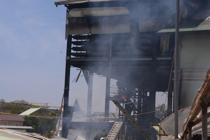 chay lon tai cong ty co phan cay giong cao nguyen hinh 1