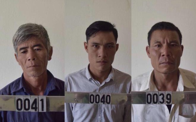 khoi to nhom nguoi khai thac go trai phep o gia lai hinh 1