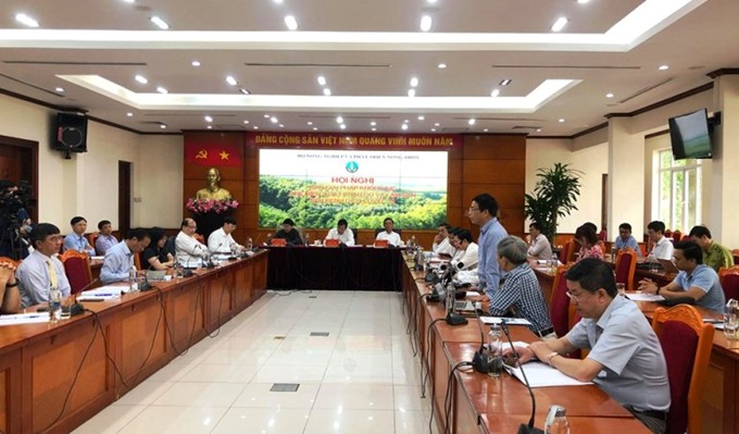 khoi phuc xuat khau go va lam san: tan dung tot cac co hoi ve thi truong hinh 1