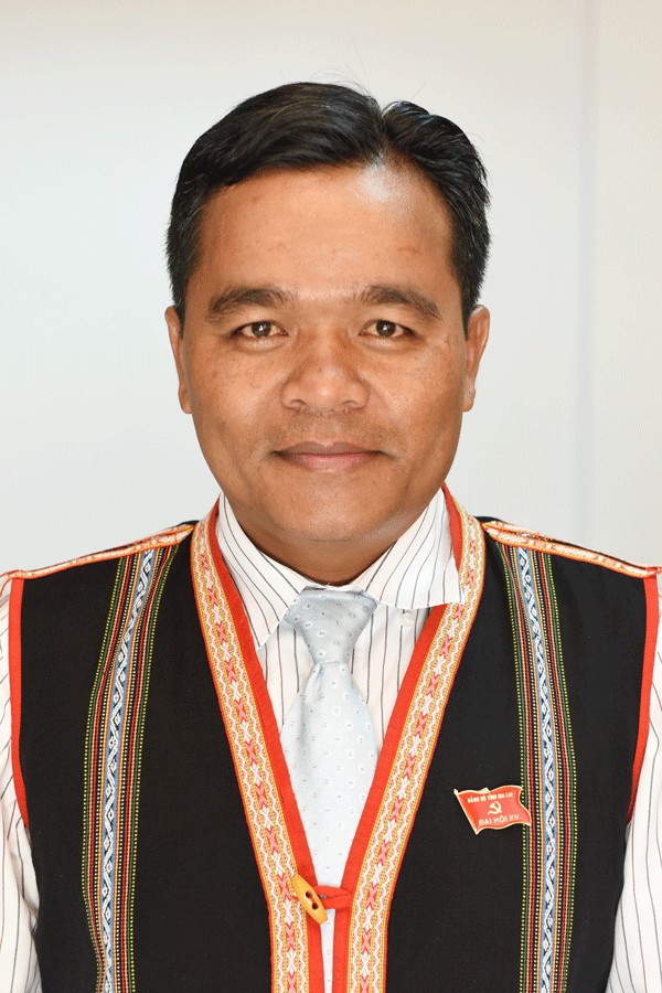 su nghiep chinh tri cua tan bi thu tinh uy gia lai ho van nien hinh 3