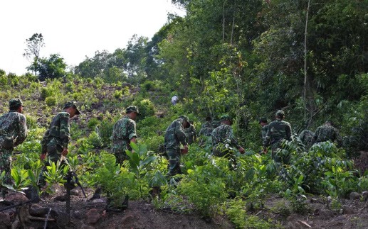 cong an da nang bac tin don thieu uy canh khuyen hy sinh khi truy bat ke vuot nguc hinh 2