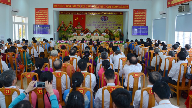 bi thu, chu tich khong trung vao bch dang bo, co bat thuong? hinh 1