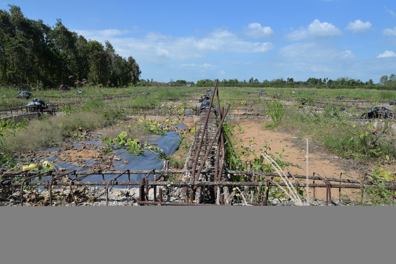 vu agribank can tho: doanh nghiep tan hoang vi bi tam dinh chi dieu tra qua han  hinh 7