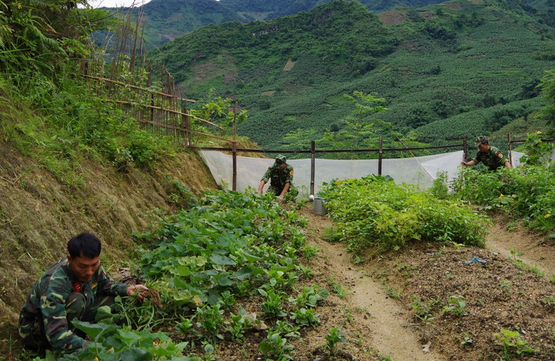 bộ đội lại dựng lều chặn đường mòn, lối mở phòng chống covid-19 hình 10 bo doi lai dung leu chan duong mon, loi mo phong chong covid-19 hinh 10