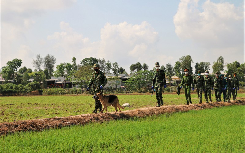 an giang: ngan chan hang tram doi tuong xuat, nhap canh trai phep  hinh 1