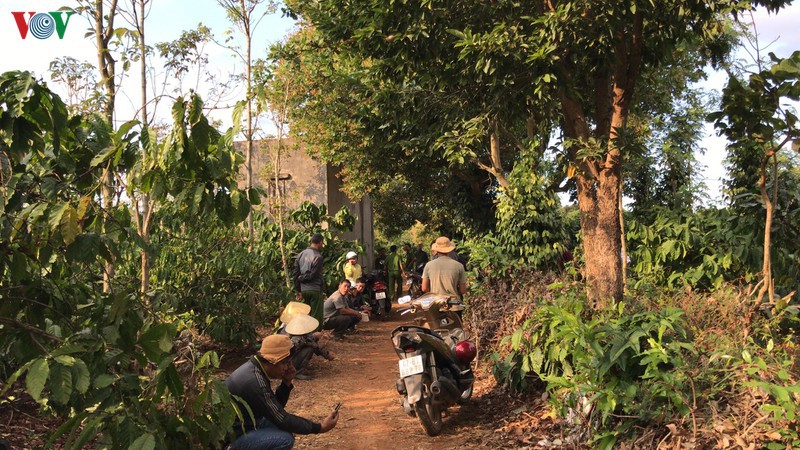 nong 24h: co gai khai gi khi bo chat doc vao coc tra sua hinh 4