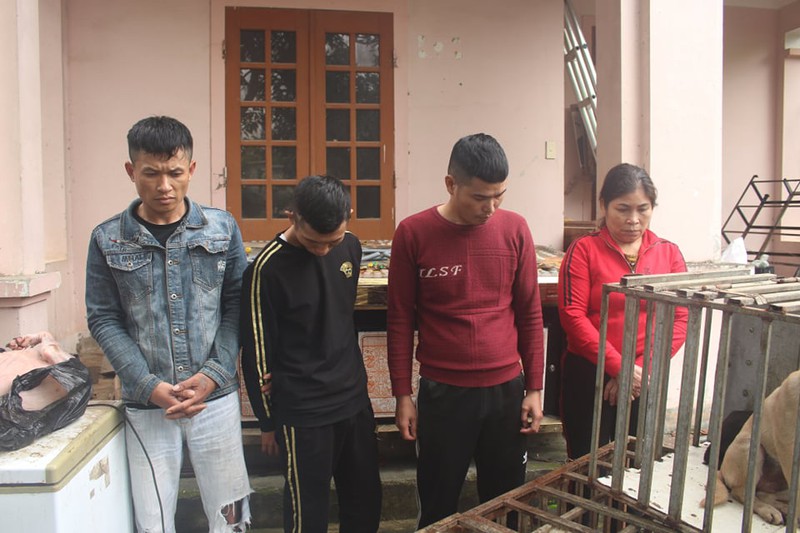 tom gon bang cau tac thuc hien hon 100 vu danh ba khien cho, meo chet hang loat hinh 1