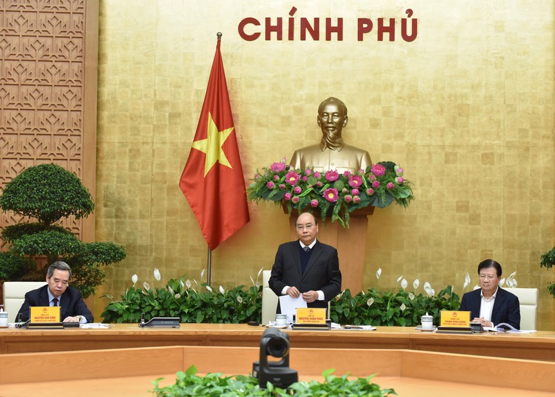 thu tuong de nghi can chot dien tich trong lua de dam bao an ninh luong thuc  hinh 3