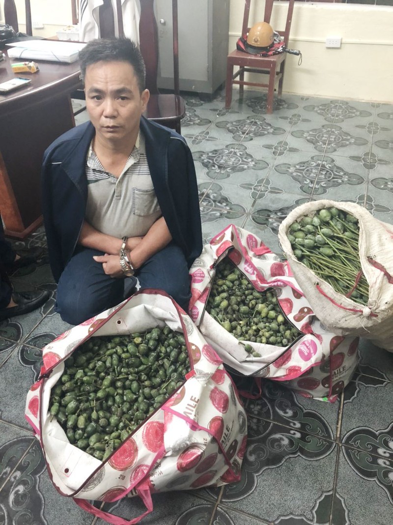 van chuyen hon 50kg qua thuoc phien di ban kiem loi hinh 1