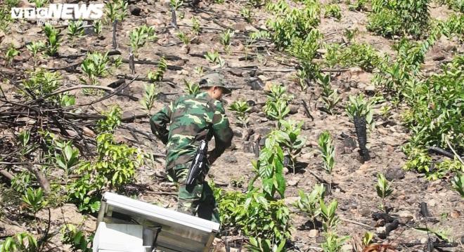 phong toa deo hai van, rao riet truy bat toi pham giet nguoi tron trai hinh 2