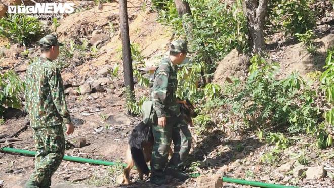 phong toa deo hai van, rao riet truy bat toi pham giet nguoi tron trai hinh 4