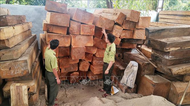 7 doi tuong pha rung o gia lai bi bat giu hinh 1