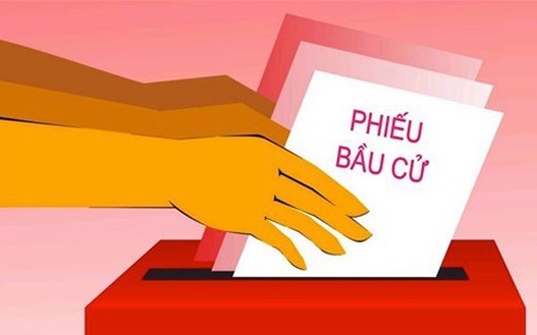 dai hoi dang cac cap: trach nhiem trong tung la phieu hinh 1