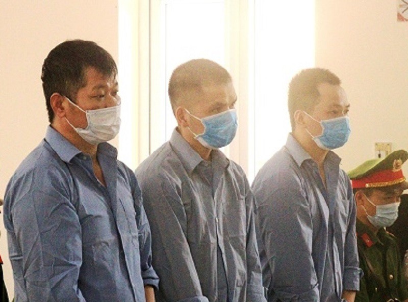 hai tu tu treo co tu tu: trach nhiem thuoc ve ai? hinh 1