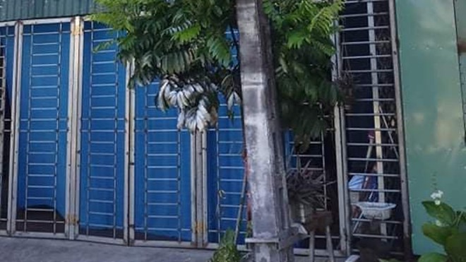 thai binh: chong cham lua thieu vo vi mau thuan hinh 1