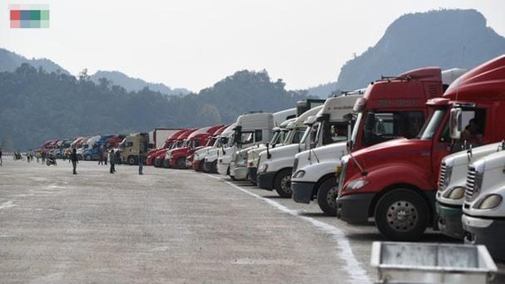 van tai "ngac ngoai" vi dich, doanh nghiep xin mien phi bao tri duong bo hinh 3