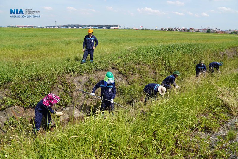 anh: nhan vien san bay noi bai dam mo hoi lam viec giua nang thieu dot hinh 11