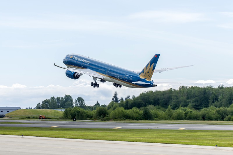 ai la chu tich hoi dong quan tri moi cua vietnam airlines? hinh 4