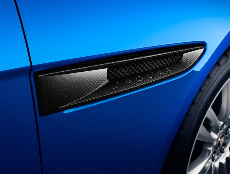 can canh jaguar xe vua "cap ben" viet nam hinh 7