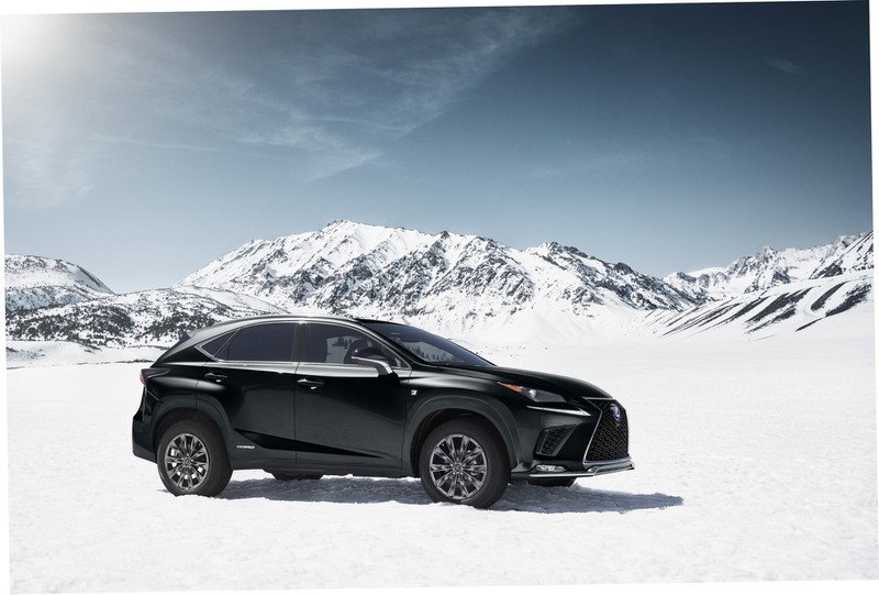 chi co 1.000 xe lexus nx hybrid f sport black line 2021 duoc san xuat hinh 2