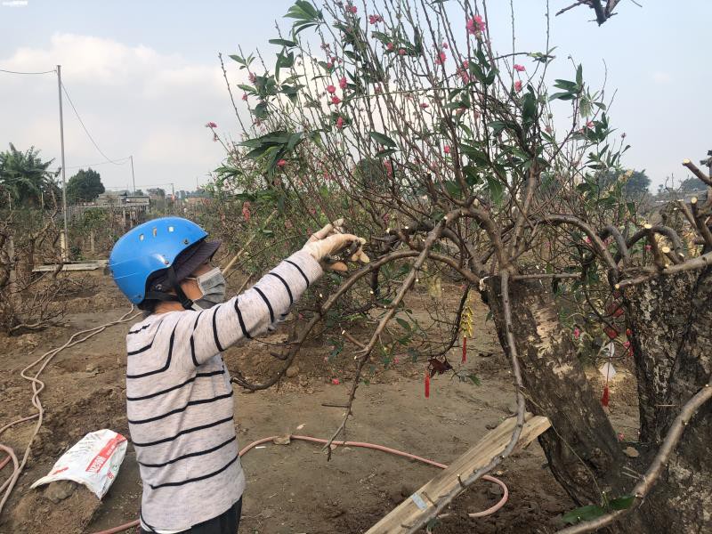 ha noi: dan nhat tan tat bat trong lai dao sau tet hinh 2