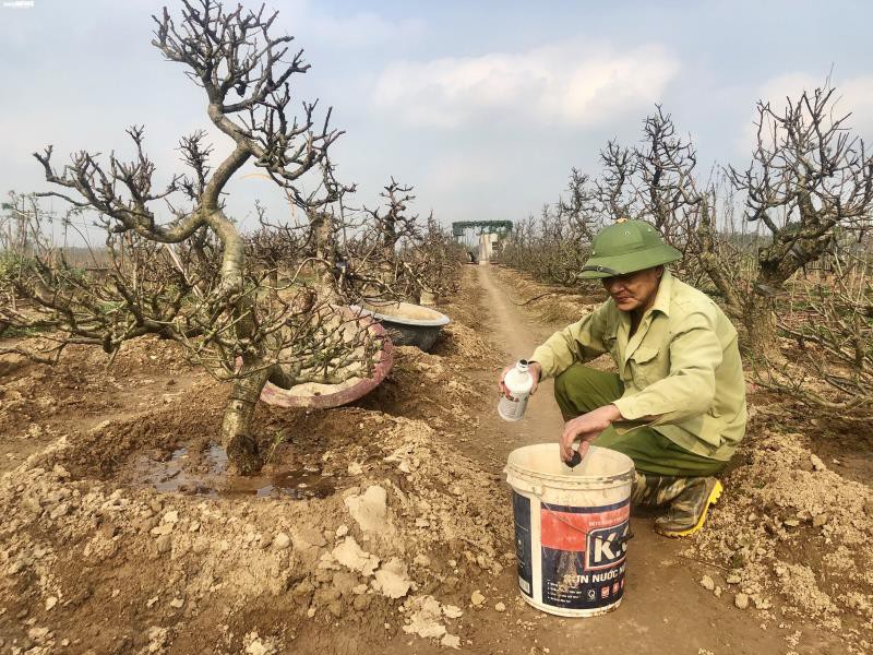 ha noi: dan nhat tan tat bat trong lai dao sau tet hinh 3