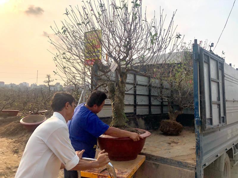 ha noi: dan nhat tan tat bat trong lai dao sau tet hinh 1