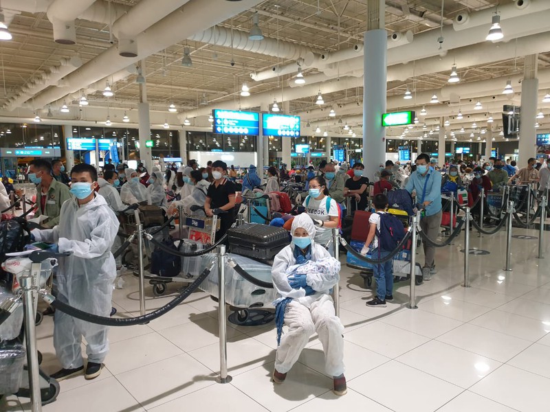 dua hon 300 cong dan viet nam tu canada va han quoc ve nuoc hinh 1