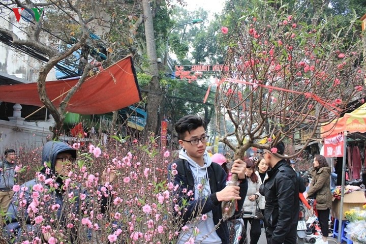 ha noi cam duong to chuc cho hoa xuan tren pho co hang luoc hoan kiem hinh 1