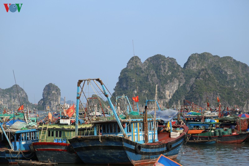 cong dien thu tuong: tap trung ung pho voi ap thap nhiet doi va mua lu hinh 1