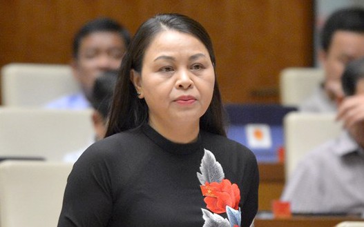 tan bi thu ninh binh nguyen thi thu ha chuyen sinh hoat doan dbqh hinh 1