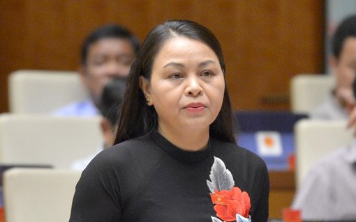 nguyen thi thu ha lam truong doan dai bieu quoc hoi tinh ninh binh hinh 1
