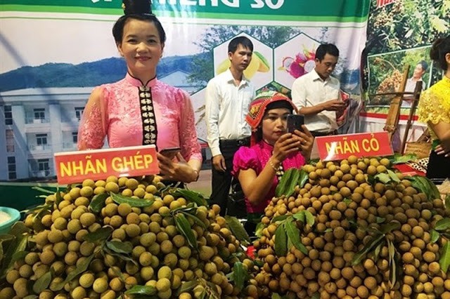 ngay hoi nhan song ma se duoc bat dau tu ngay 2/8 hinh 2