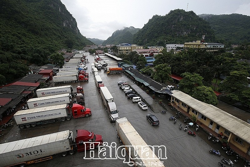 hon 260 container qua thanh long un u o lang son vi dich corona hinh 1