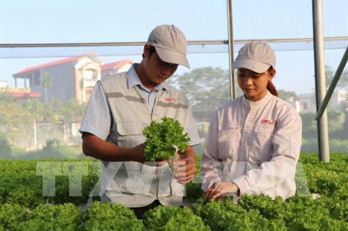 bac giang ung dung cong nghe so trong san xuat nong nghiep hinh 1