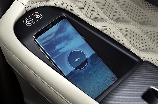 hyundai palisade gioi thieu ban cao cap voi ten goi calligraphy hinh 3
