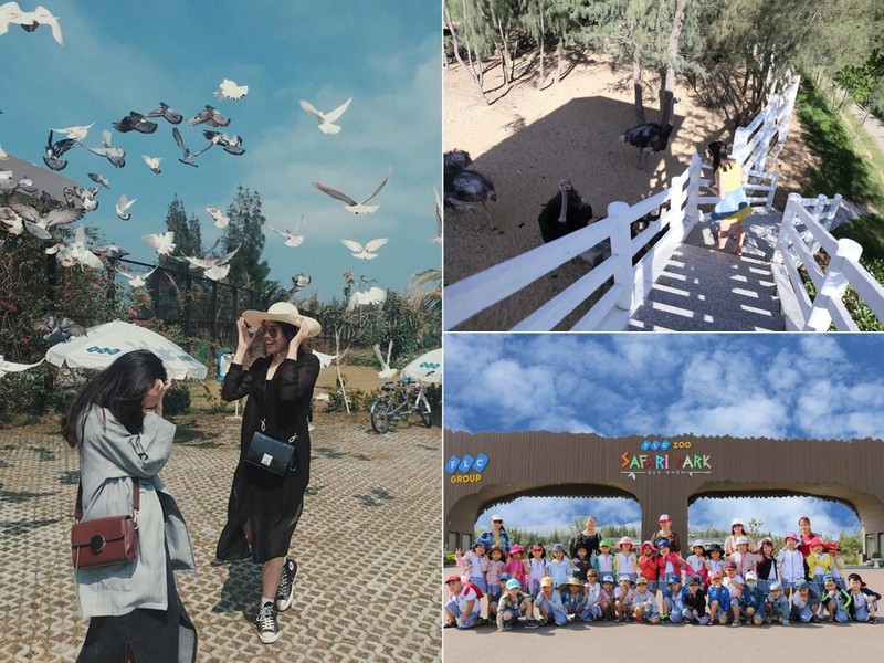 flc zoo safari park quy nhon - diem den khong the bo lo hinh 3