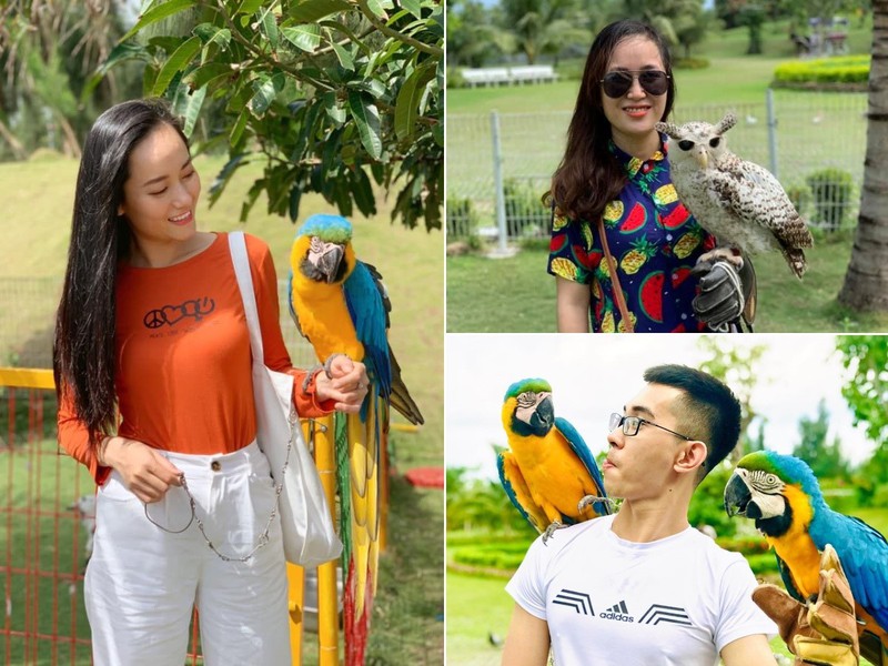 flc zoo safari park quy nhon - diem den khong the bo lo hinh 5