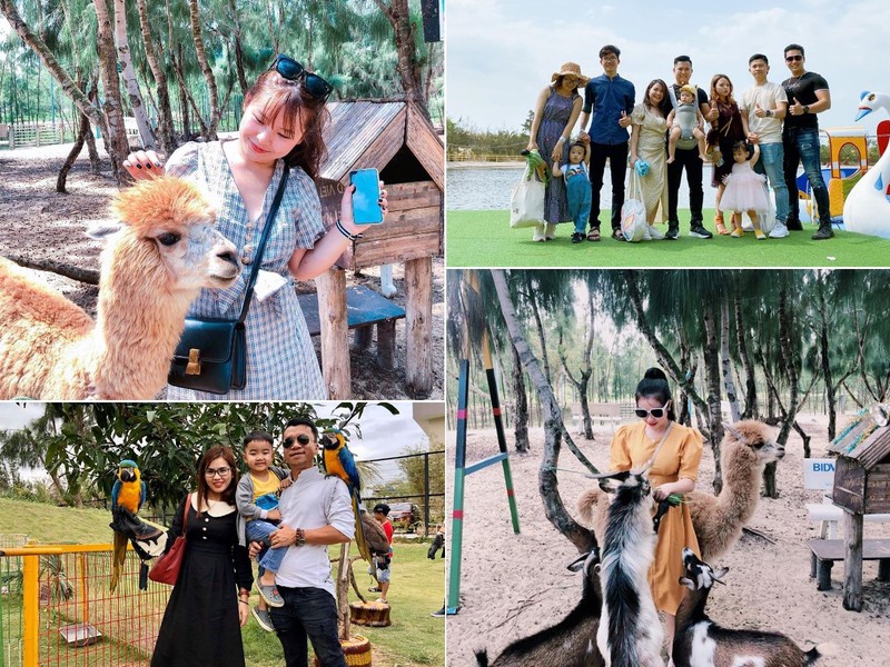 flc zoo safari park quy nhon - diem den khong the bo lo hinh 9