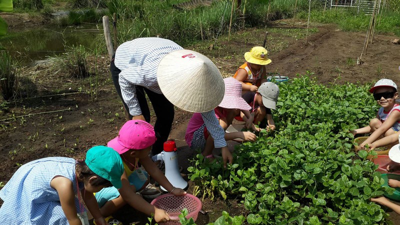 kham pha thien duong xanh trong treo ngay gan ha noi  hinh 9