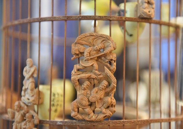 man nhan voi bo suu tap chim quy hiem, gia khung cua vua chim mau viet hinh 14