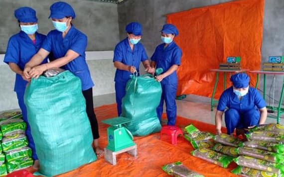 mien dong bac kan lan dau tien xuat khau sang chau au hinh 1