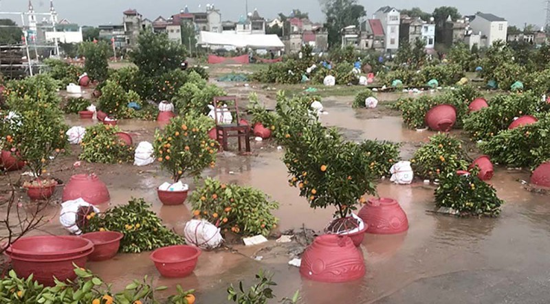 quat canh tan tac, pho ngap thanh song sau con mua da chieu 30 tet hinh 5