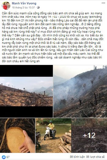 lao cai se xu nghiem ca nhan tung tin dot rung de trong cay nong nghiep hinh 1
