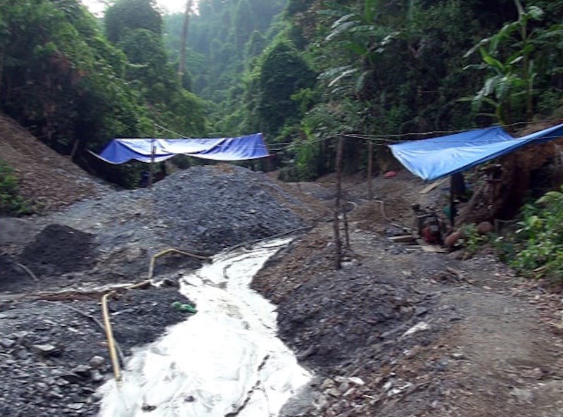 11 phu vang bi bat giu trai phep hinh 1