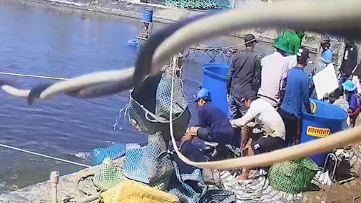 nong 24h: dien bien vu truong ban noi chinh gay tai nan chet nguoi hinh 5