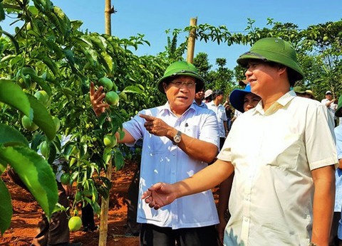 chan dung tan chu tich ubnd tinh quang tri vo van hung hinh 5